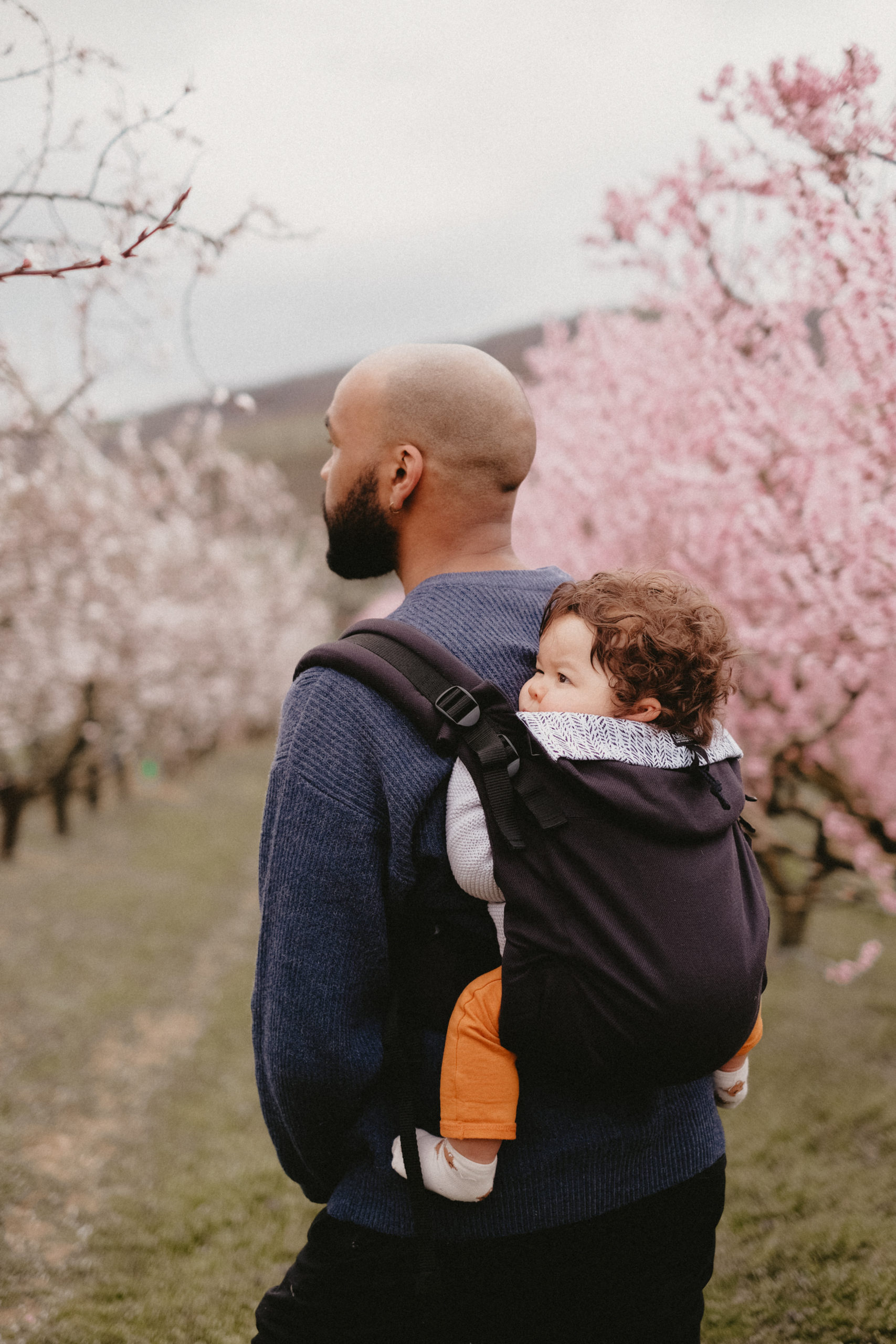 Néo_plus_ebène_neobulle_etoiles_en_portage